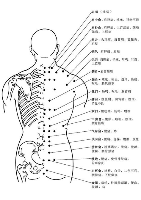 思維穴|穴位:中醫理論,涵義,來源,本質,排列規律,人體穴位,頭頸部穴,胸腹。